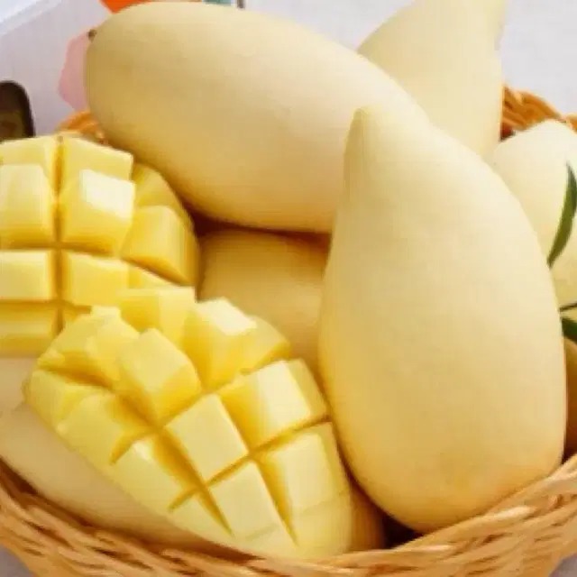태국 골드망고 남독마이 고당도 2kg 2.5kg